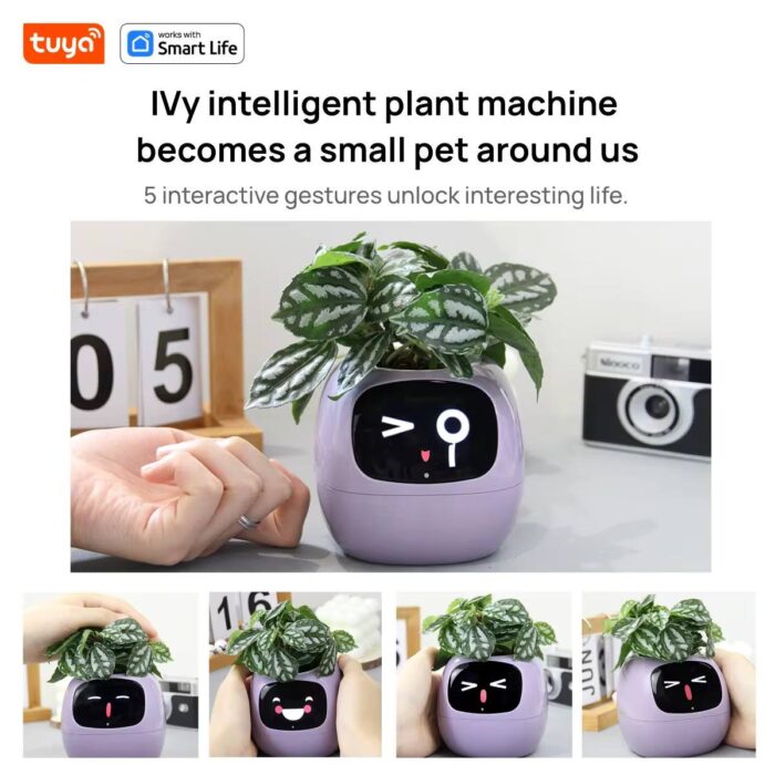 Smart plant